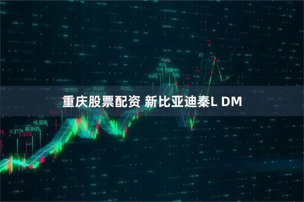 重庆股票配资 新比亚迪秦L DM